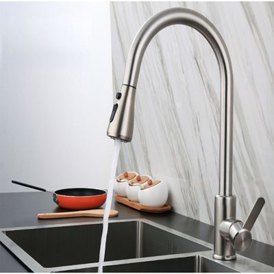 OEM Brushed SS Telescoping Dish Washing Faucet Dual Handle Safe Lead Free